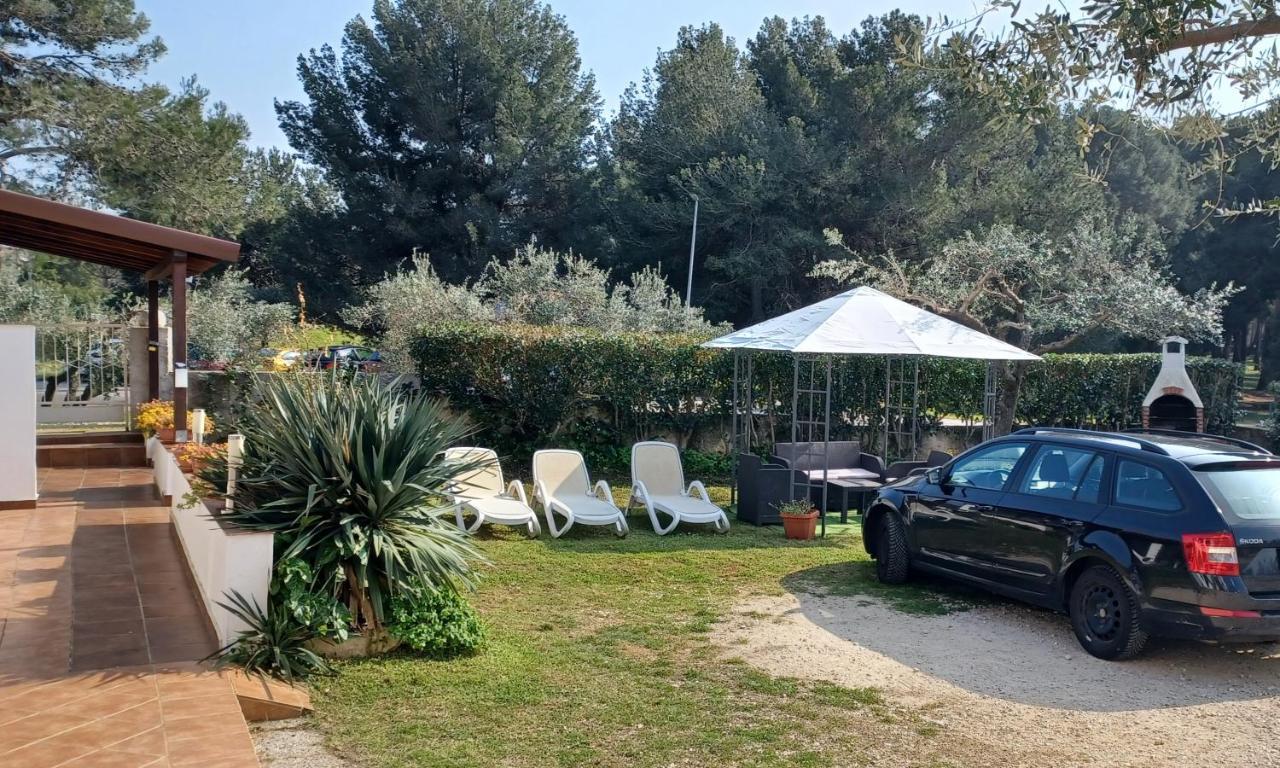Studio Dorjan Rovinj Dış mekan fotoğraf